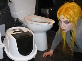 Singer Dorian Electra on all fours next to litter box and toilet.