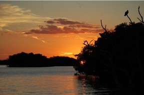 Take a leisurely walk down the Guy Bradley Trail (located behind the Flamingo Lodge) at Everglades National Park, Florida, to the amphitheatre and watch the sun set on the water.