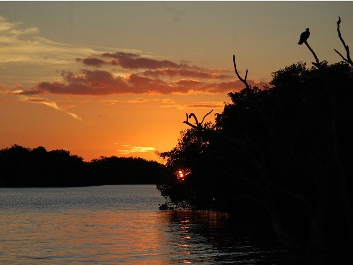 Take a leisurely walk down the Guy Bradley Trail (located behind the Flamingo Lodge) at Everglades National Park, Florida, to the amphitheatre and watch the sun set on the water. Laura Shantora Nelles/Toronto Sun