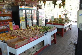 Pop in for a visit at Robert is Here fruit stand in Homestead on your way to or from Flamingo.