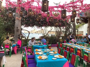 The vibrant colours of Edith's, a Cabo San Lucas institution for dining. Jane Stevenson/Toronto Sun