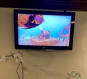 A TV in the Harbour Village Beach Club lobby captivates with a live feed of fish swimming in front of a camera positioned off the end of the jetty housing the restaurant.