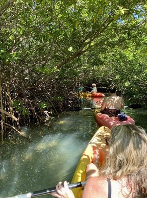 Kayaking with an expert guide so as not to damage the mangrove forest in Bonaire.