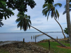 Old pier