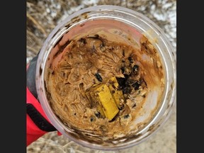 Two dogs became sick after eating an unknown substance in a jar of peanut butter in Taylor Creek Park, in East York, on Friday, March 22, 2024.