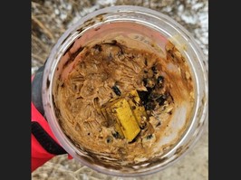 Two dogs became sick after eating an unknown substance in a jar of peanut butter in Taylor Creek Park, in East York, on Friday, March 22, 2024.