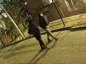 Toronto Police released video footage of two suspects after several vehicles were vandalized in Corso Italia.