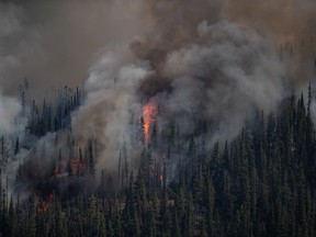 The White Rock Lake wildfire burns west of Vernon, B.C., on Thursday, Aug. 12, 2021.