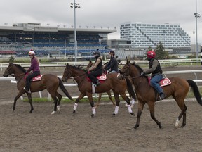 Thoroughbreds train at Woodbine Racetrack in preparation for opening day of the thoroughbred race meet on Saturday April 27.