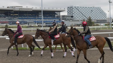 Thoroughbreds train at Woodbine Racetrack in preparation for opening day of the thoroughbred race meet on Saturday April 27.