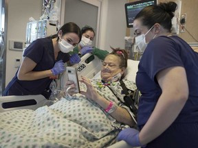 Lisa Pisano looks at photos of her dog after her surgeries at NYU Langone Health in New York on Monday, April 22, 2024.