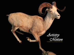 Artistry in Motion Taxidermy's Facebook page contains images of exotic animals that have been stuffed by the Uxbridge business.
