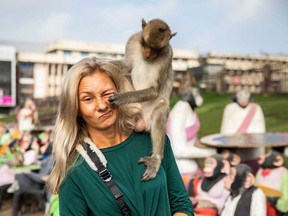A monkey grabs the face of a tourist during the Lopburi Monkey Festival on Nov. 27, 2022 in Lop Buri, Thailand.