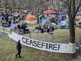 Pro-Palestinian student activists in Montreal have set up camp on the grounds of McGill University, following a wave of similar protests on campuses across the United States. Pro-Palestinian demonstrators at an encampment at McGill University in Montreal, Saturday, April 27, 2024.