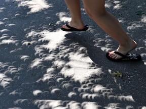 A visitor at the National Zoo runs through crescent shaped shadows created by the solar eclipse in 2017. MUST CREDIT: Katherine Frey for The Washington Post