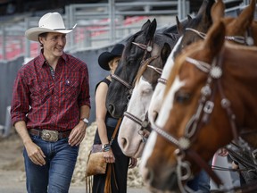 Justin Trudeau wearing cowboy looks at horses