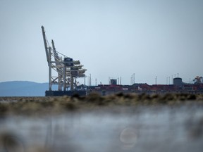 Gantry cranes used to load and unload cargo containers from ships sit idle at Global Container Terminals at Deltaport, in Delta, B.C., Friday, July 7, 2023.