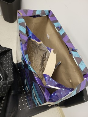 The ongoing Theft Project has so far led to 172 arrests and the recovery of more than $150,000 in stolen goods, often taken by people using 'booster bags' like the one seen here.