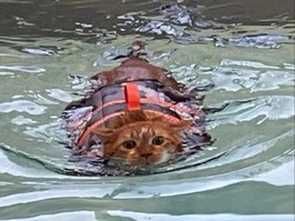 Ty, nicknamed "Thicken Nugget," takes swimming lessons to help shed extra pounds.