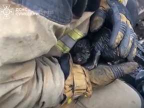 This screengrab of a video showing Ukrainian firefighters with a puppy pulled from the rubble of a destroyed building that was on fire in the northeastern city of Sumy, close to the border with Russia.