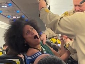Screenshot of woman having meltdown on plane as police try to arrest her.