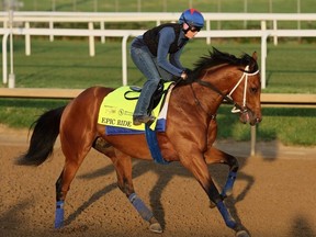 Epic Ride runs on the track during the morning training for the Kentucky Derby at Churchill Downs on April 28, 2024 in Louisville, Kentucky.