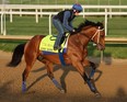 Epic Ride runs on the track during the morning training for the Kentucky Derby at Churchill Downs on April 28, 2024 in Louisville, Kentucky.