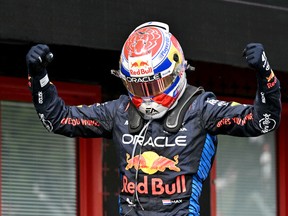 Red Bull Racing driver Max Verstappen celebrates