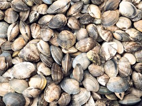 A California mom was hit with a major fine after her kids mistakenly collected clams from the seashore.