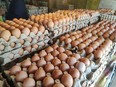 Chicken eggs on carton shelf.