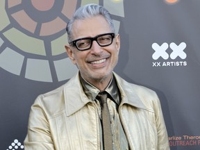 Jeff Goldblum attends the Charlize Theron Africa Outreach Project 2022 Summer Block Party at Universal Studios Backlot in Universal City, Calif., June 11, 2022.