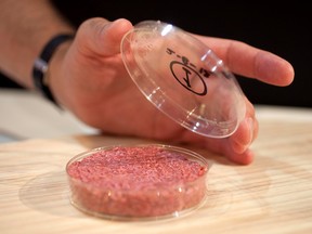 the world's first lab-grown beef burger