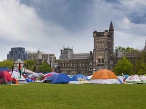 Tents on the grasss at a U of T encampment