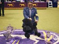 A handler celebrates with Best in Show winner, Miniature Poodle dog in the 148th Annual Westminster Kennel Club Dog Show at the USTA Billie Jean King National Tennis Center on May 14, 2024 in New York City.