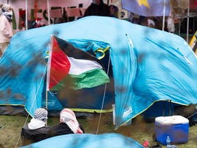 Pro-Palestinian activists fly a flag in an encampment set up on McGill University's campus in Montreal, Monday, April 29, 2024.