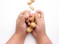 Children's hand holding peanuts.