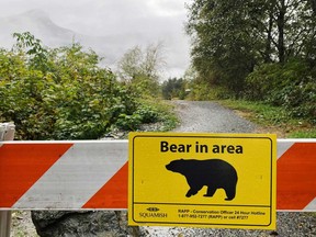 A sign warning of a bear in the area is shown at the Squamish Estuary trail network in Squamish, B.C. on Friday, Nov. 4, 2022.