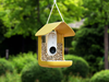Bird Buddy is a smart bird feeder that is an ideal for bird aficionados.