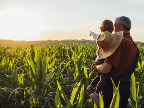 A family standing in a corn field looking at the sunrise.