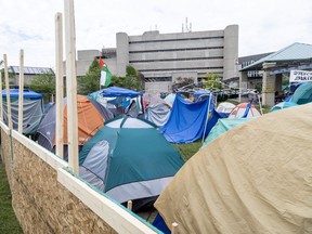 Pro-Palestinian protesters calling themselves the Western Divestment Coalition have fenced off their encampment at Western University in London. Photo taken on Friday, June 28, 2024. (Derek Ruttan/The London Free Press)