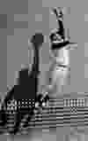 O defensor central do New York Giants, Willie Mays, salta alto para pegar uma bola perto da cerca externa na base de treinamento de primavera do Giants em Phoenix, 29 de fevereiro de 1956. ARQUIVOS DE IMPRENSA ASSOCIADOS