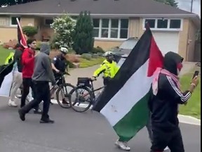 Pro-Palestinian protesters.