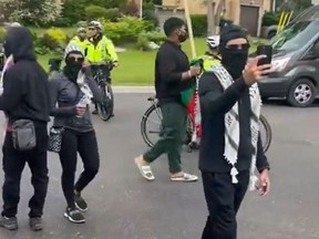 Pro-Palestinian protesters.