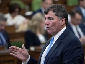 Minister of Public Safety, Democratic Institutions and Intergovernmental Affairs Dominic LeBlanc rises during Question Period, Monday, June 17, 2024 in Ottawa.
