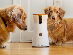 Furbo allows you to keep an eye on your pet, dispense treats and snap photos while you're not home.
