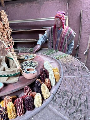 A farmer in the Huayllafara community explains the cycle for corn at the interpretation centre as part of a La Base Lamay experience in Peru.