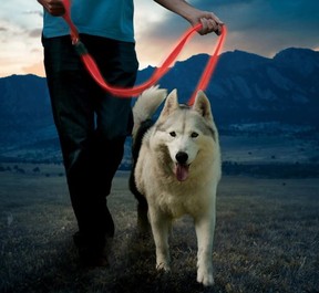 The NiteDog Rechargeable LED Leash.