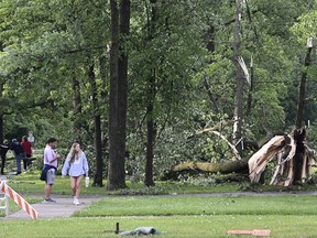 People walk around Rotary Park looking at downed trees