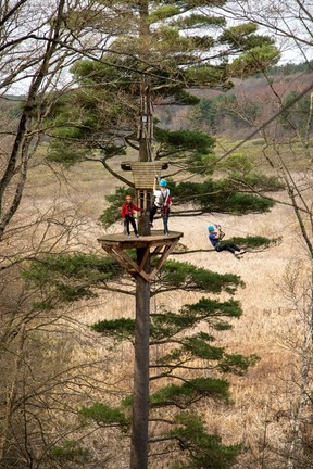 Treetop Trekking's 1000 Islands location offers adventure options for everybody. TREETOP TREKKING PHOTO