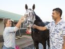 Rafaroo, contendiente de King's Plate, se baña después del entrenamiento de (L) Jessica Ladouceur y el entrenador (R) Harold Ladouceur.Rafaroo intentará capturar la carrera número 165 de la carrera de $1,000,000 de dólares en Woodbine el sábado 17 de agosto de 2024.Rafaroo es propiedad de Stronach Establos y entrenados por Harold.